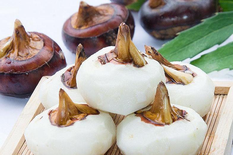 去皮整颗马蹄罐头 567g