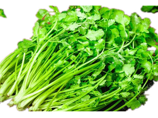 新鲜冷藏中国香菜 ca.100g