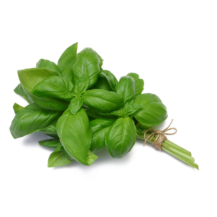 Fresh basil ca.100g