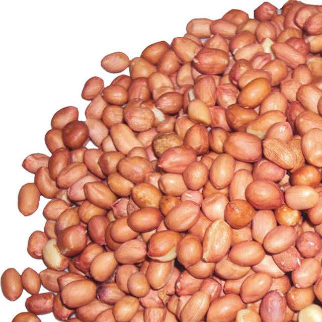 红皮花生米/花生仁 400g