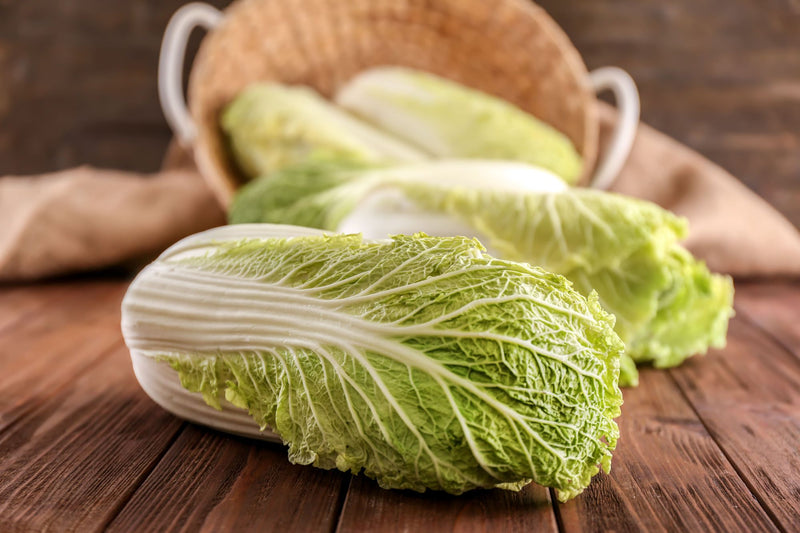 Fresh Chinese cabbage ca.1.3kg
