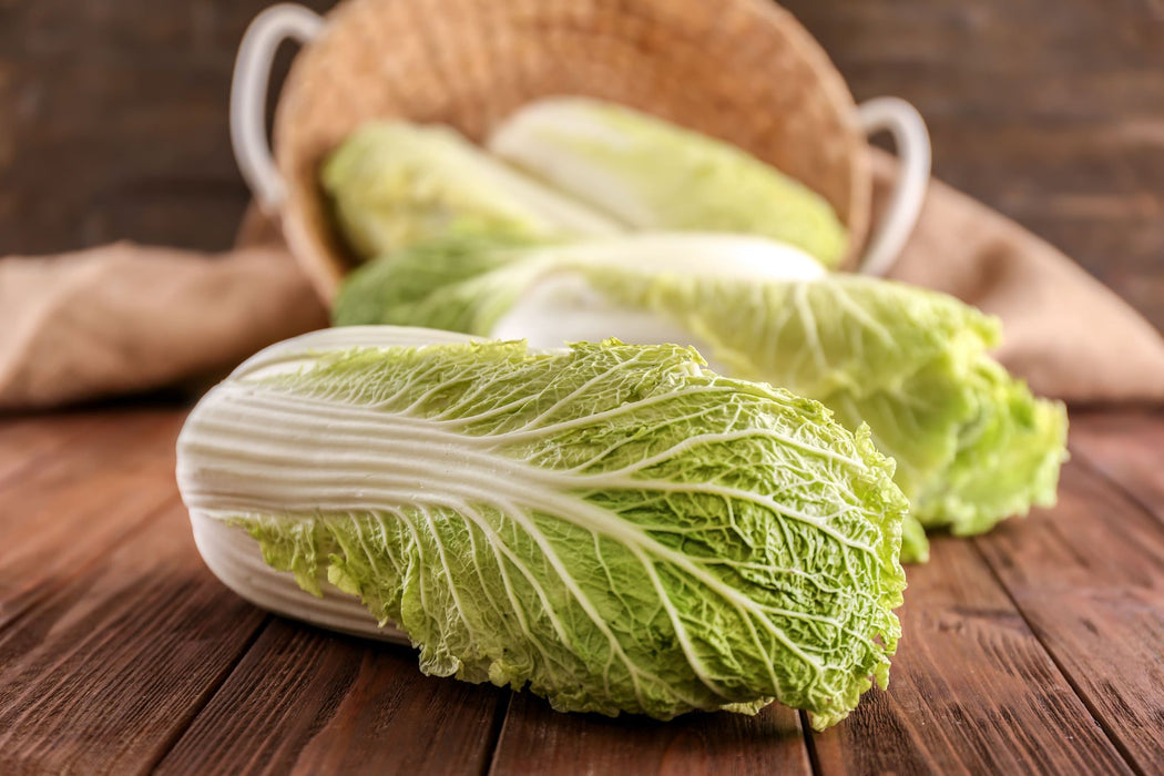 Fresh Chinese cabbage ca.1.3kg