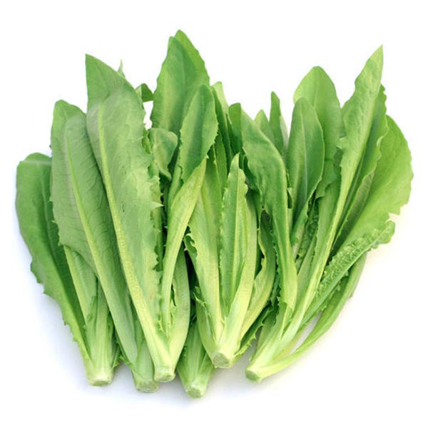 Frischer Salat ca. 500 g