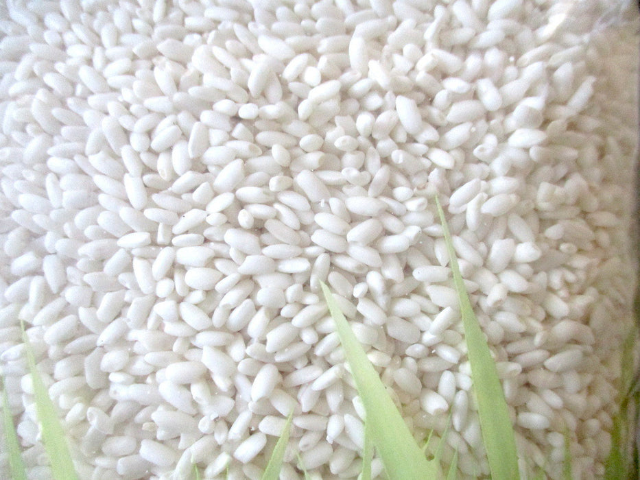 natural round grain glutinous rice 1kg