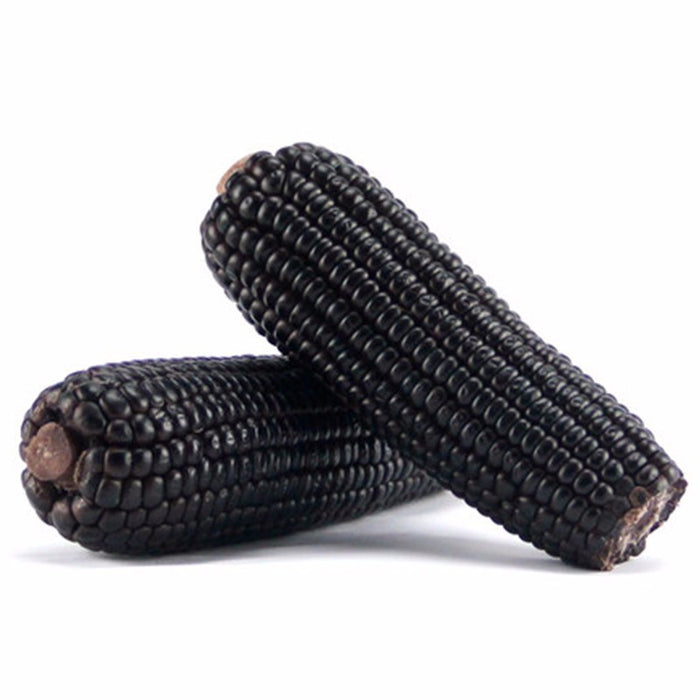 Black Waxy Corn 200g
