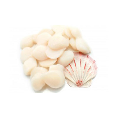 冰冻扇贝肉10/20 1kg