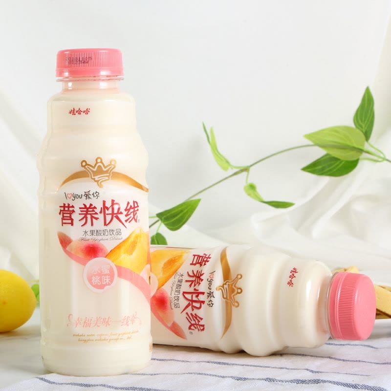 Nutri-Express Peach Flavor 500ml