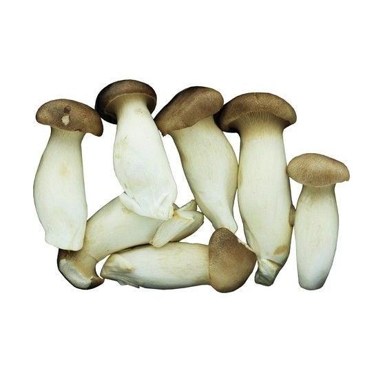 Fresh King Oyster Mushroom 200g