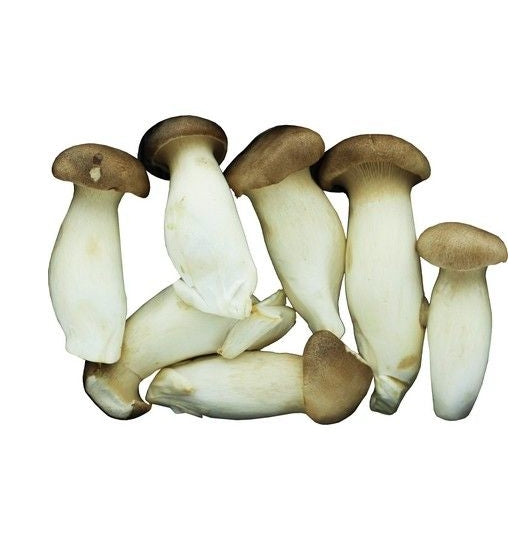 Fresh King Oyster Mushroom 150g