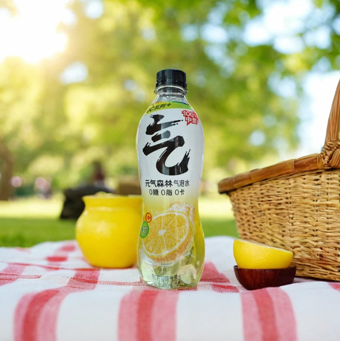 Sugar Free Lemon Sparkling Water 480mL