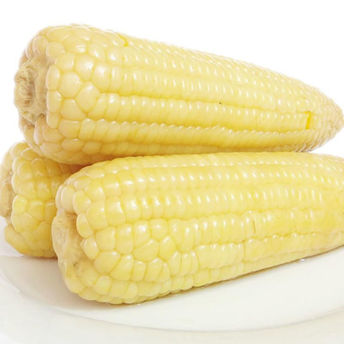 Waxy Corn 220g