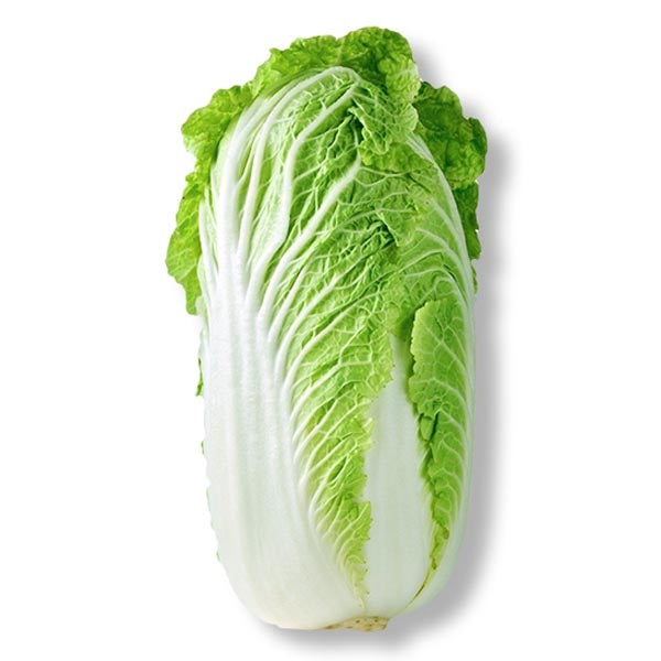 Fresh Chinese cabbage ca.1.3kg