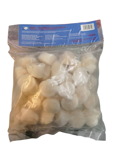 冰冻扇贝肉10/20 1kg