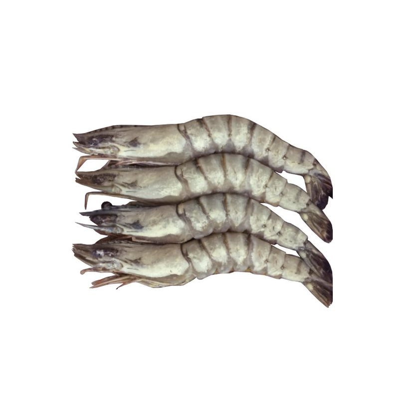 Frozen Food Bangladeshi Black Tiger Prawns with Head 21/30 1Kg