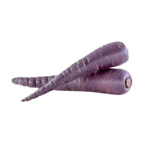 新鲜冷藏紫萝卜 ca.1kg