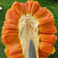 新鲜盒装红肉菠萝蜜 200g