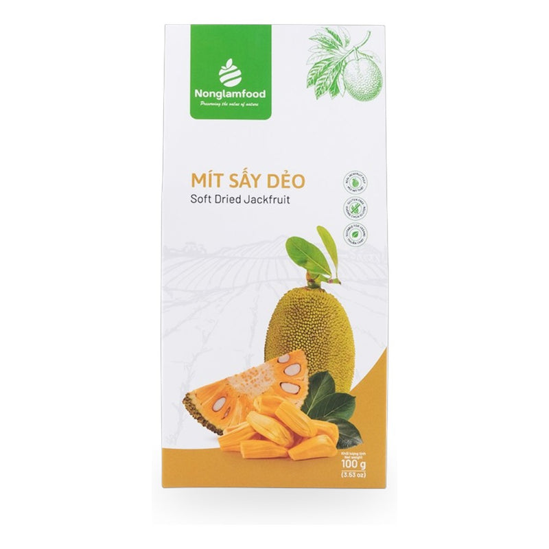 菠萝蜜干 100g