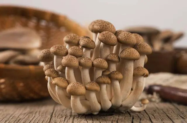 【限量特价优惠】新鲜冷藏蟹味菇 150g