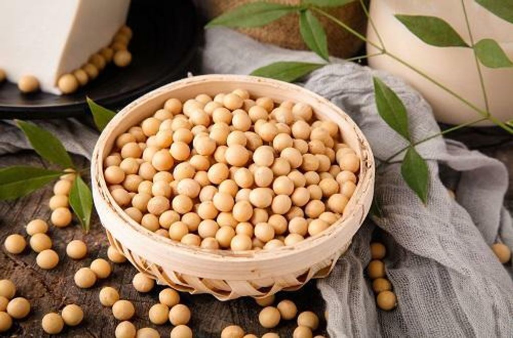 Soy bean 500g