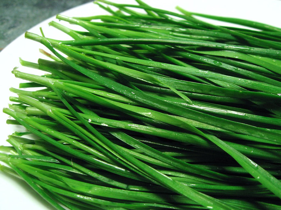 Chive ca.100g