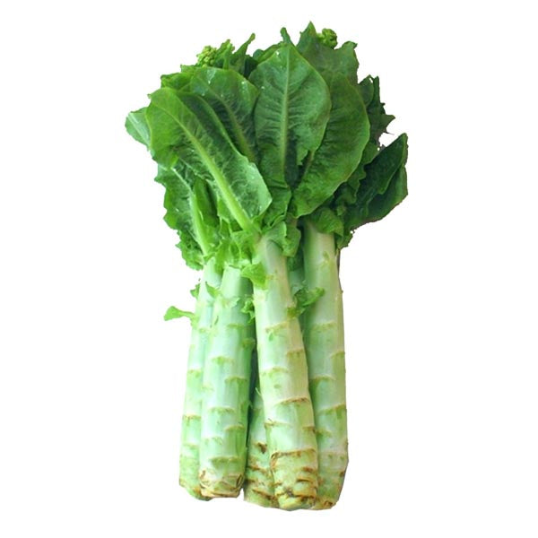 Fresh Refrigerated Lettuce c.900g-1000g