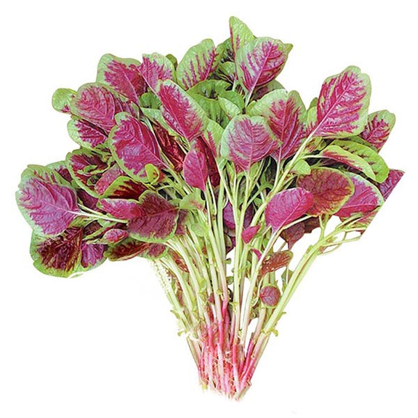 Fresh Red Amaranth ca.300g