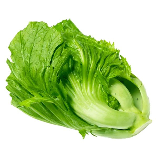 Frisches Senfgrün 500g