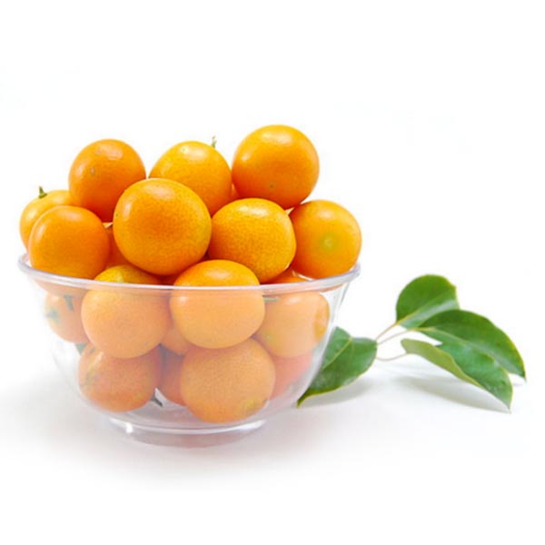 Chinesische frische Kumquat ca.400g