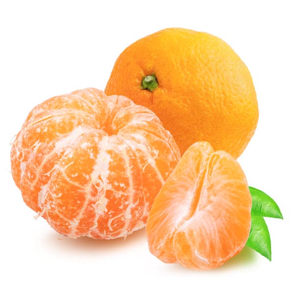 Chinesische frische hässliche Mandarine ca.1kg