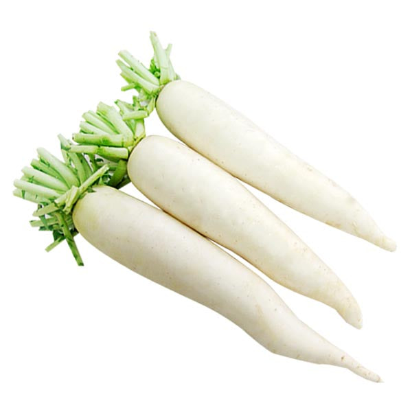 Fresh white radish Ca.1kg