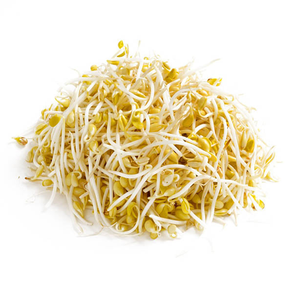 Naturally grown Soybean sprout 500g