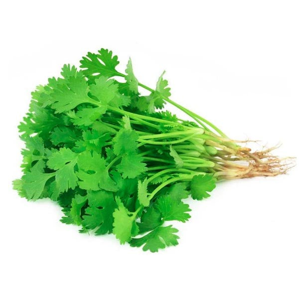 新鲜冷藏中国香菜 ca.100g