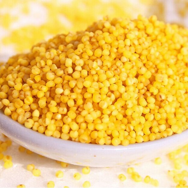 Sticky Millet 454g